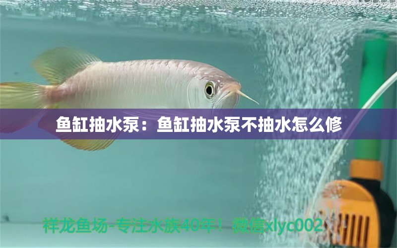 鱼缸抽水泵：鱼缸抽水泵不抽水怎么修