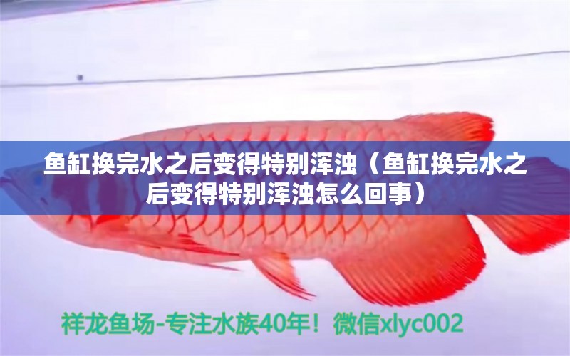 鱼缸换完水之后变得特别浑浊（鱼缸换完水之后变得特别浑浊怎么回事）