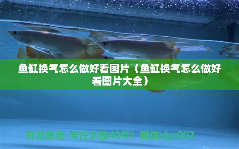 鱼缸换气怎么做好看图片（鱼缸换气怎么做好看图片大全）