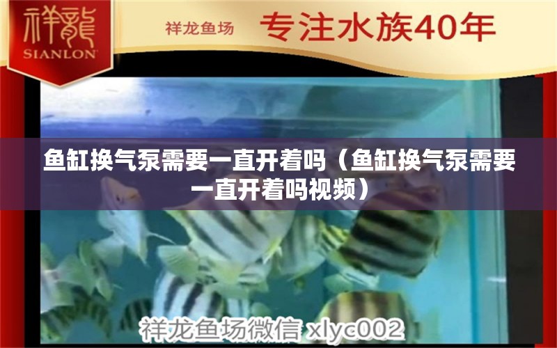 鱼缸换气泵需要一直开着吗（鱼缸换气泵需要一直开着吗视频） 充氧泵 第1张