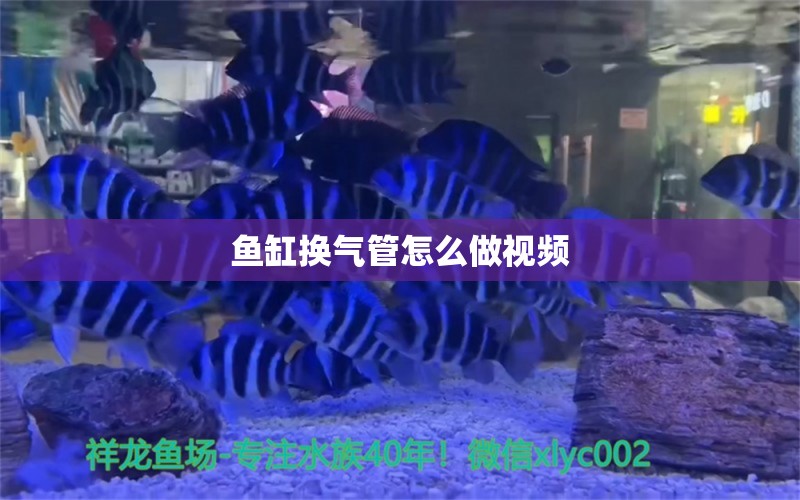 鱼缸换气管怎么做视频