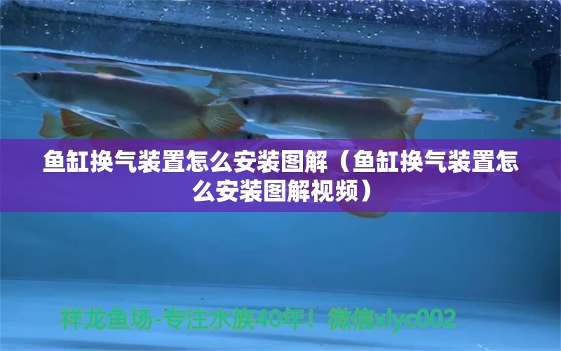 鱼缸换气装置怎么安装图解（鱼缸换气装置怎么安装图解视频）