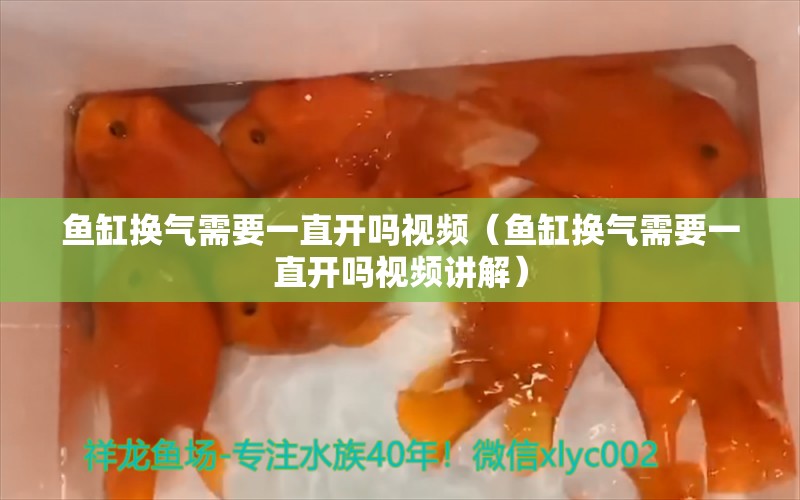 鱼缸换气需要一直开吗视频（鱼缸换气需要一直开吗视频讲解） 一眉道人鱼