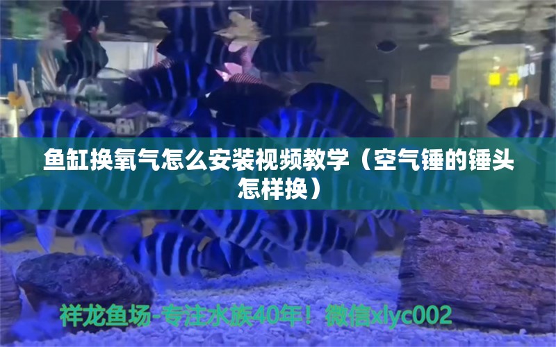 鱼缸换氧气怎么安装视频教学（空气锤的锤头怎样换）