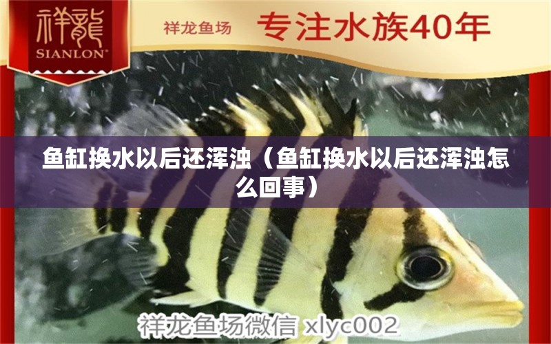 鱼缸换水以后还浑浊（鱼缸换水以后还浑浊怎么回事）