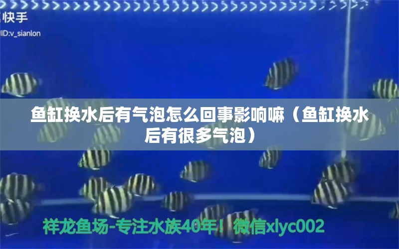 鱼缸换水后有气泡怎么回事影响嘛（鱼缸换水后有很多气泡）