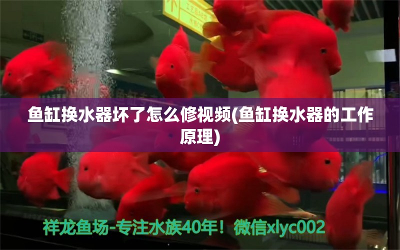 鱼缸换水器坏了怎么修视频(鱼缸换水器的工作原理) 潜水艇鱼