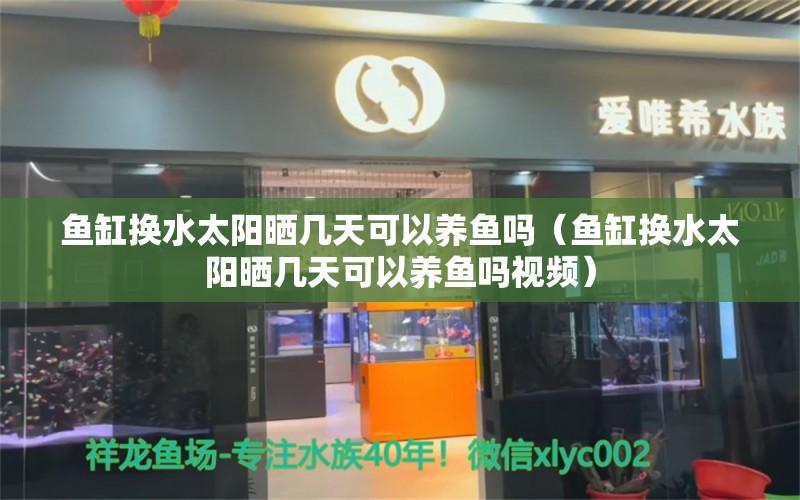 鱼缸换水太阳晒几天可以养鱼吗（鱼缸换水太阳晒几天可以养鱼吗视频） 月光鸭嘴鱼