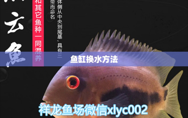 鱼缸换水方法 水族用品