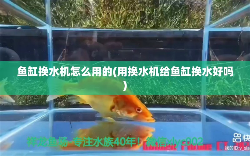 鱼缸换水机怎么用的(用换水机给鱼缸换水好吗)