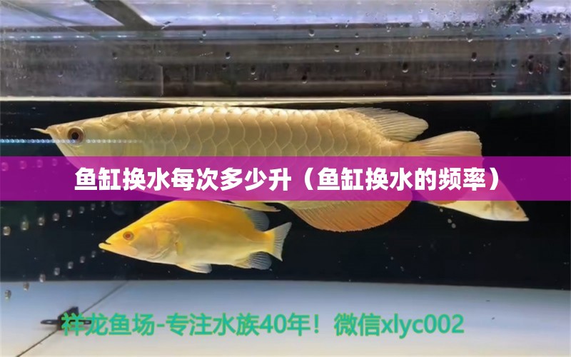 鱼缸换水每次多少升（鱼缸换水的频率）