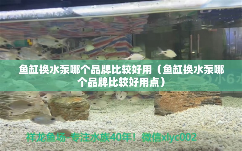 鱼缸换水泵哪个品牌比较好用（鱼缸换水泵哪个品牌比较好用点） 观赏鱼市场（混养鱼）