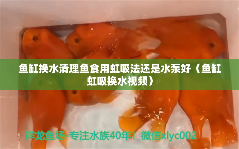 鱼缸换水清理鱼食用虹吸法还是水泵好（鱼缸虹吸换水视频）