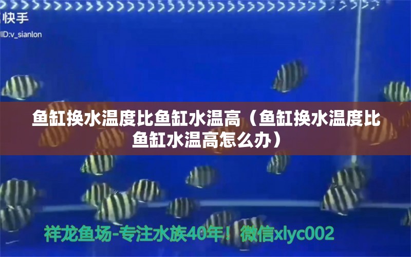 鱼缸换水温度比鱼缸水温高（鱼缸换水温度比鱼缸水温高怎么办） 祥龙水族医院