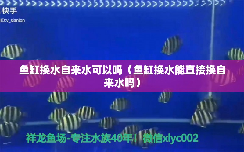 鱼缸换水自来水可以吗（鱼缸换水能直接换自来水吗） 祥龙水族医院