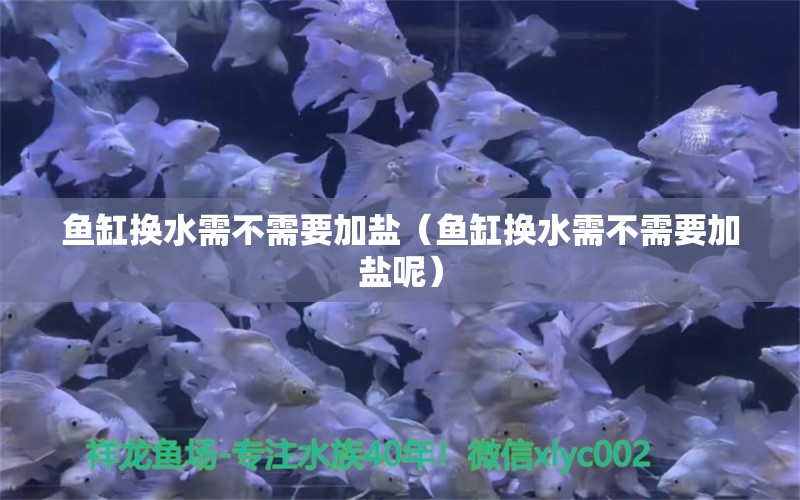 鱼缸换水需不需要加盐（鱼缸换水需不需要加盐呢） 祥龙水族医院