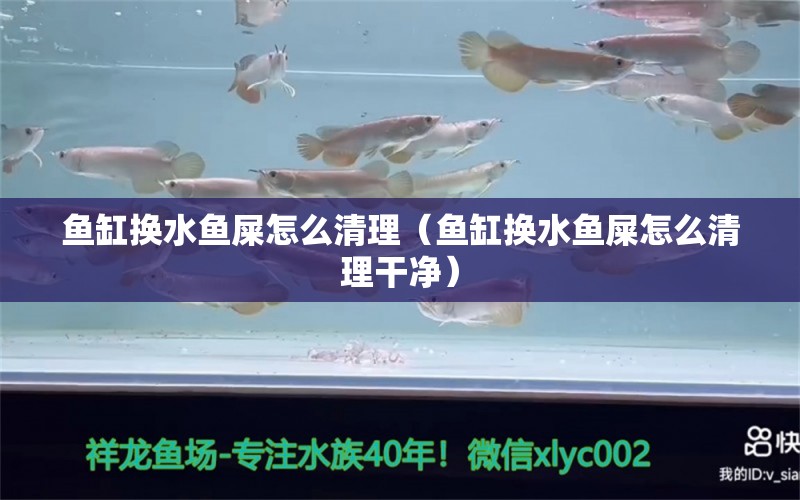 鱼缸换水鱼屎怎么清理（鱼缸换水鱼屎怎么清理干净）