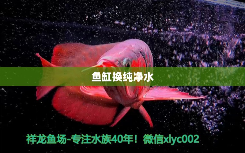 鱼缸换纯净水 水族问答 第1张