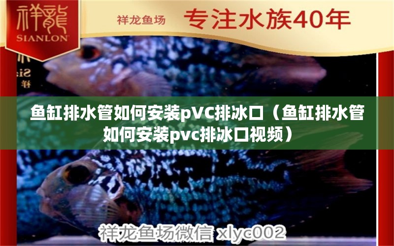 鱼缸排水管如何安装pVC排冰口（鱼缸排水管如何安装pvc排冰口视频） 观赏鱼市场（混养鱼）