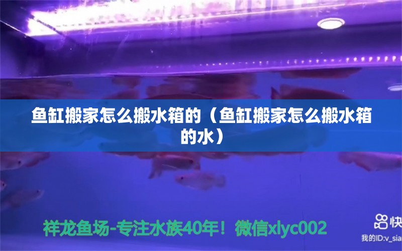 鱼缸搬家怎么搬水箱的（鱼缸搬家怎么搬水箱的水） 祥龙水族医院