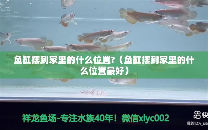 鱼缸摆到家里的什么位置?（鱼缸摆到家里的什么位置最好） 其他品牌鱼缸