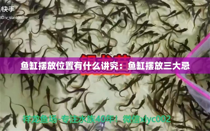 鱼缸摆放位置有什么讲究：鱼缸摆放三大忌