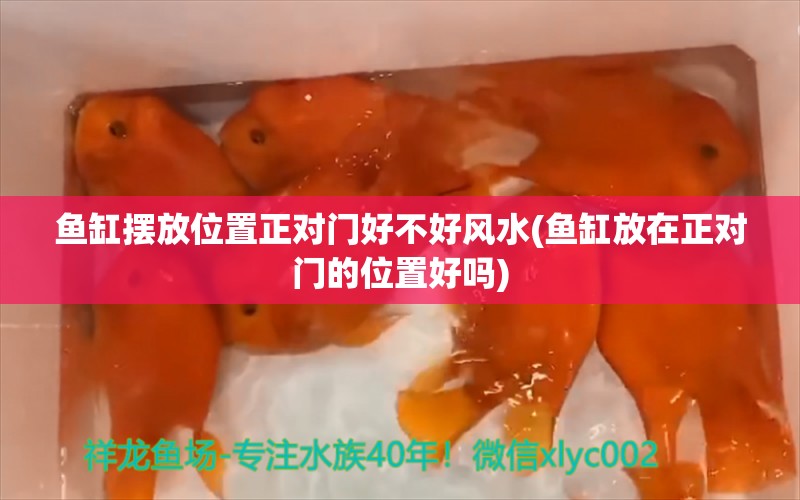 鱼缸摆放位置正对门好不好风水(鱼缸放在正对门的位置好吗) 鱼缸风水 第2张