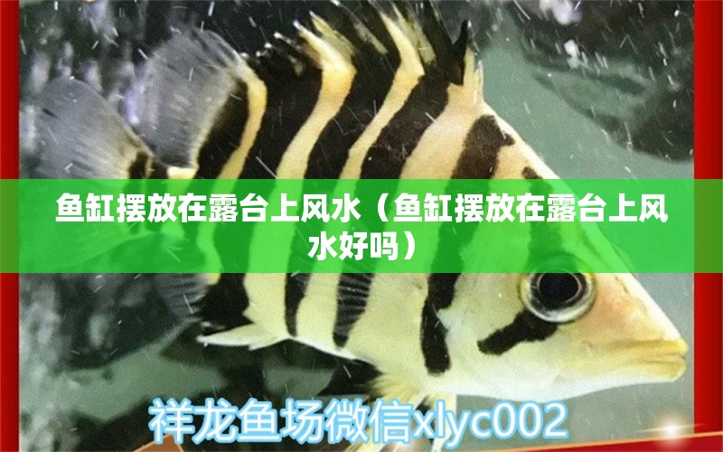 鱼缸摆放在露台上风水（鱼缸摆放在露台上风水好吗） 鱼缸风水