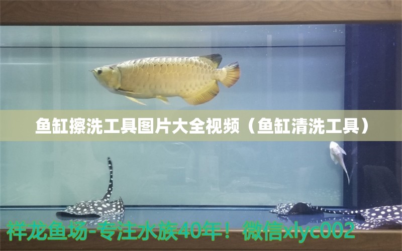 鱼缸擦洗工具图片大全视频（鱼缸清洗工具） 广州观赏鱼批发市场