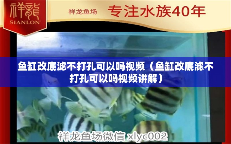 鱼缸改底滤不打孔可以吗视频（鱼缸改底滤不打孔可以吗视频讲解） 飞凤鱼