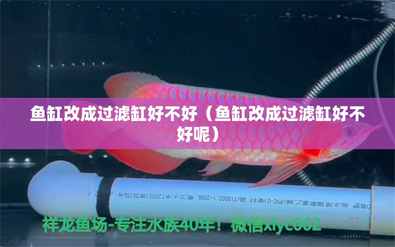 鱼缸改成过滤缸好不好（鱼缸改成过滤缸好不好呢） 祥龙水族医院