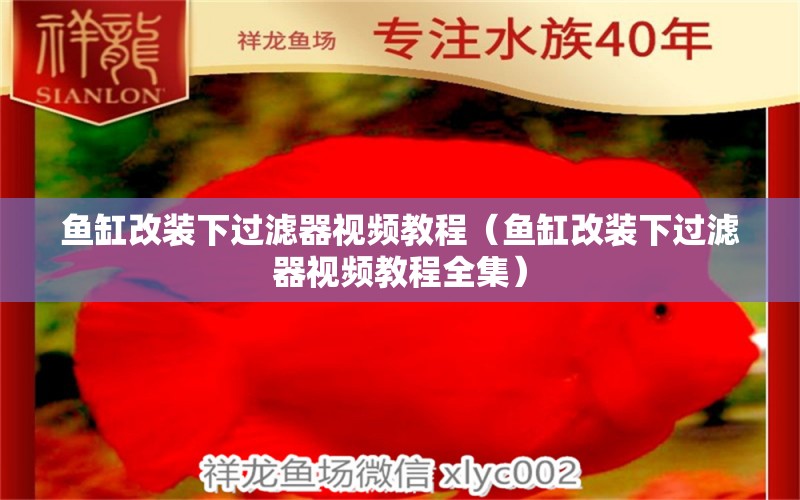 鱼缸改装下过滤器视频教程（鱼缸改装下过滤器视频教程全集）