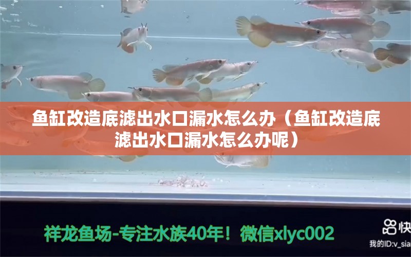 鱼缸改造底滤出水口漏水怎么办（鱼缸改造底滤出水口漏水怎么办呢）