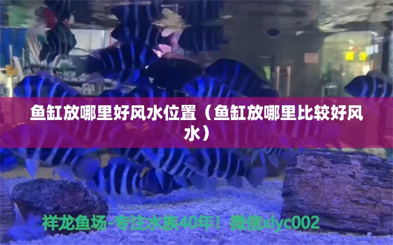 鱼缸放哪里好风水位置（鱼缸放哪里比较好风水） 鱼缸风水