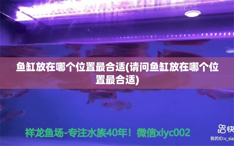 鱼缸放在哪个位置最合适(请问鱼缸放在哪个位置最合适) 黑影道人鱼