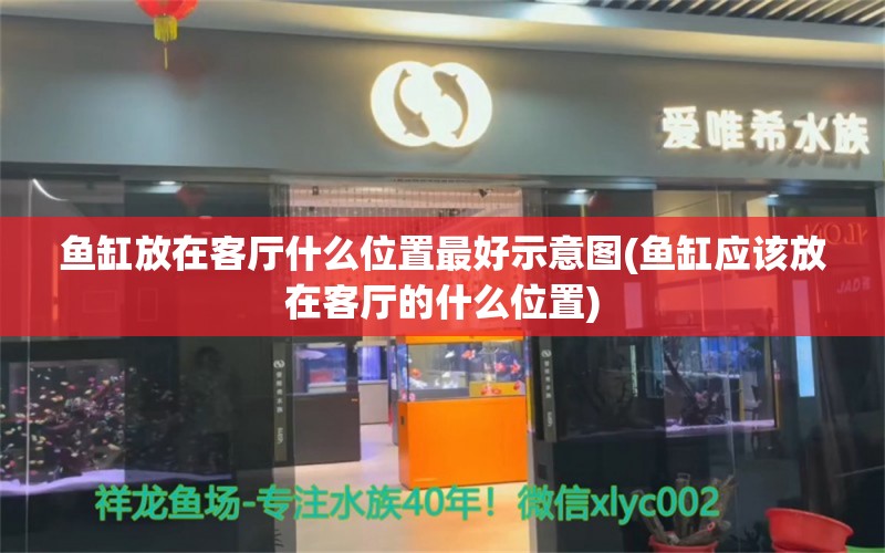 鱼缸放在客厅什么位置最好示意图(鱼缸应该放在客厅的什么位置)