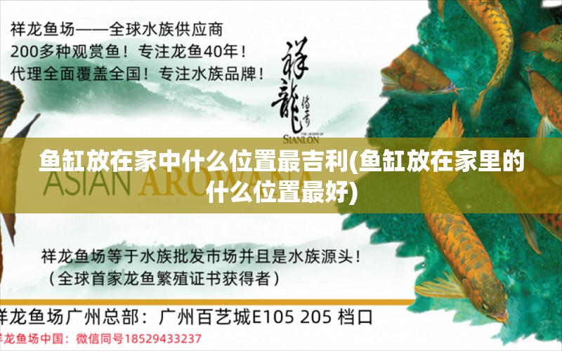 鱼缸放在家中什么位置最吉利(鱼缸放在家里的什么位置最好) 祥龙龙鱼专用水族灯