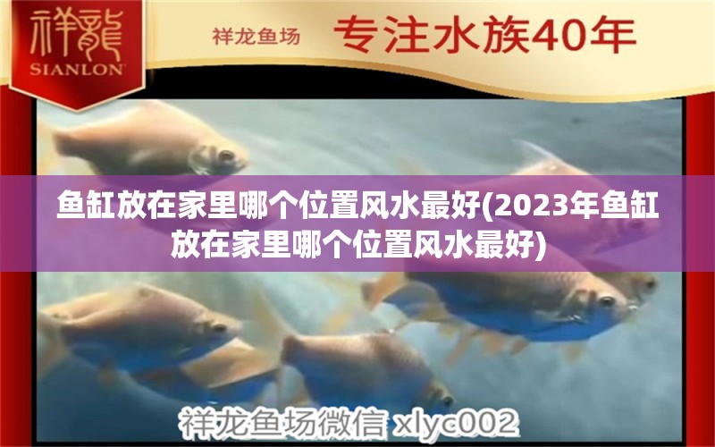 鱼缸放在家里哪个位置风水最好(2023年鱼缸放在家里哪个位置风水最好)