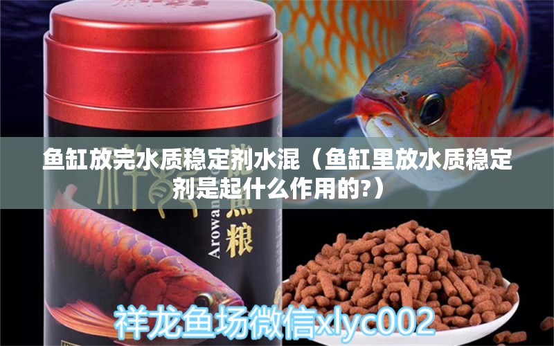 鱼缸放完水质稳定剂水混（鱼缸里放水质稳定剂是起什么作用的?）