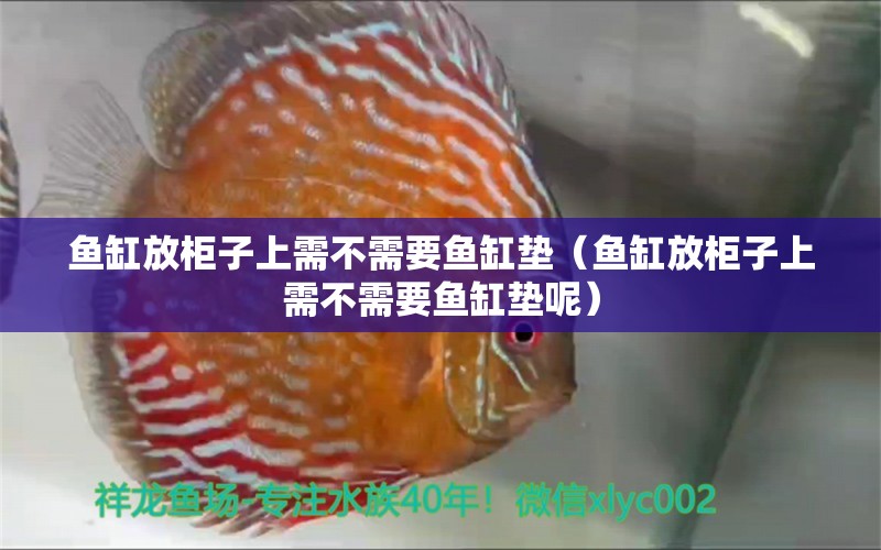 鱼缸放柜子上需不需要鱼缸垫（鱼缸放柜子上需不需要鱼缸垫呢） 量子养鱼技术