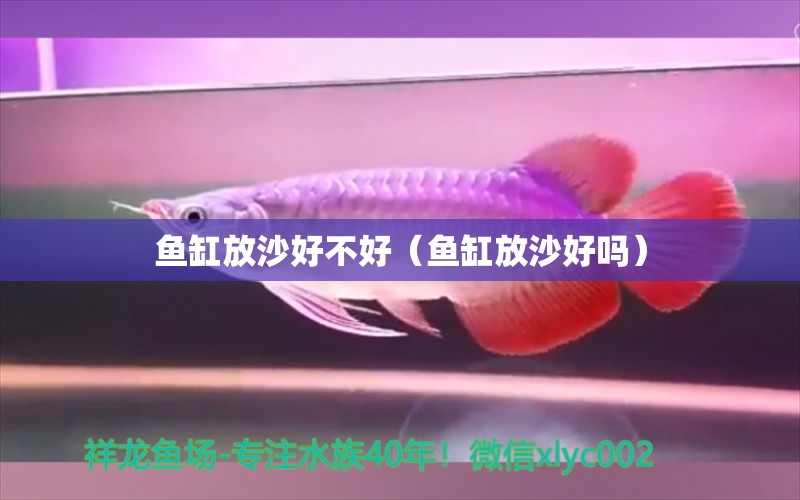 鱼缸放沙好不好（鱼缸放沙好吗）