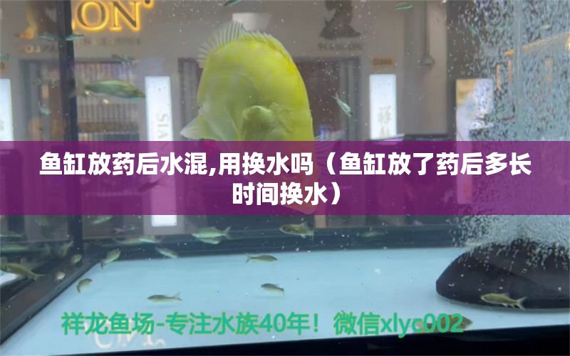 鱼缸放药后水混,用换水吗（鱼缸放了药后多长时间换水） 广州观赏鱼批发市场