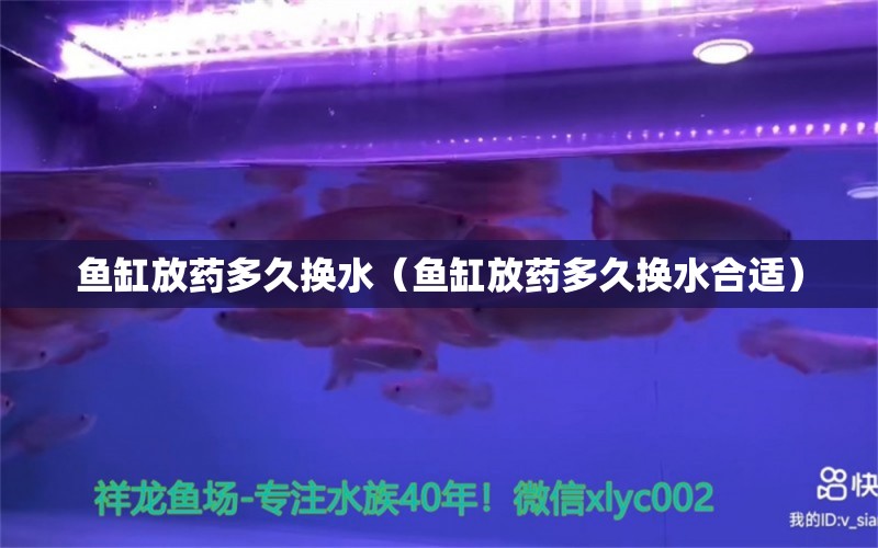 鱼缸放药多久换水（鱼缸放药多久换水合适）