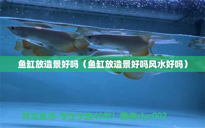 鱼缸放造景好吗（鱼缸放造景好吗风水好吗） 鱼缸风水