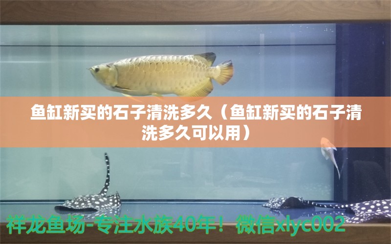 鱼缸新买的石子清洗多久（鱼缸新买的石子清洗多久可以用）