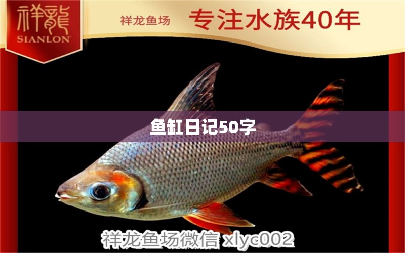 鱼缸日记50字