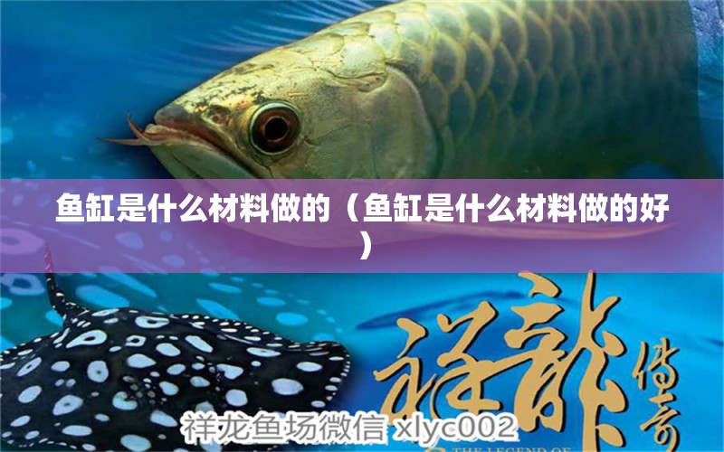 鱼缸是什么材料做的（鱼缸是什么材料做的好） 祥龙水族医院