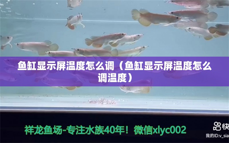 鱼缸显示屏温度怎么调（鱼缸显示屏温度怎么调温度）