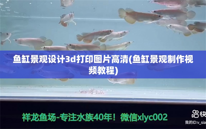 鱼缸景观设计3d打印图片高清(鱼缸景观制作视频教程)