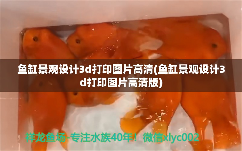 鱼缸景观设计3d打印图片高清(鱼缸景观设计3d打印图片高清版)